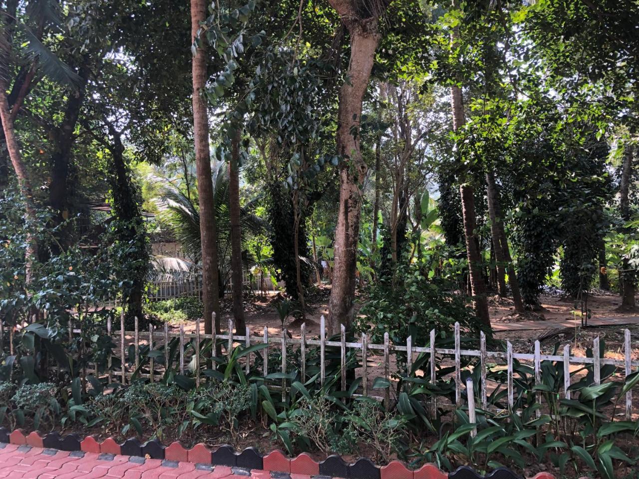 Ayuryogashram Heritage Thrissur Eksteriør billede